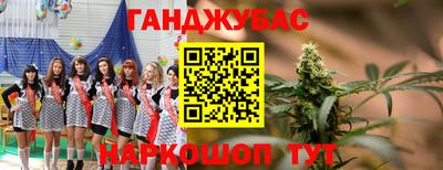 гашик Кандалакша