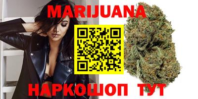 гашик Кандалакша