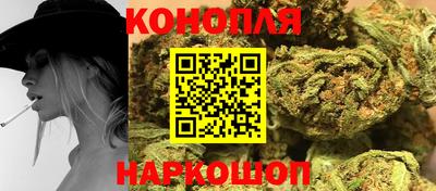 гашик Кандалакша