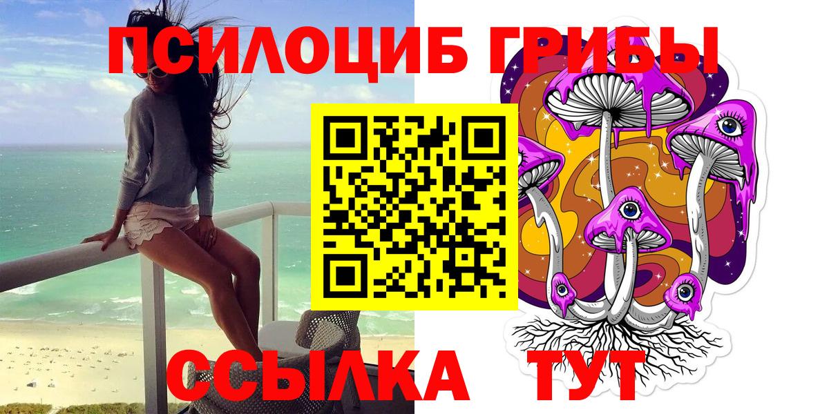 Галлюциногенные грибы прущие грибы  Вход с VPN  Кудрово 